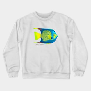 Angelfish Crewneck Sweatshirt